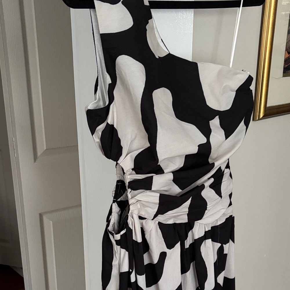 Abercrombie & Fitch Asymmetrical Black and White Dress - Picture 5 of 5